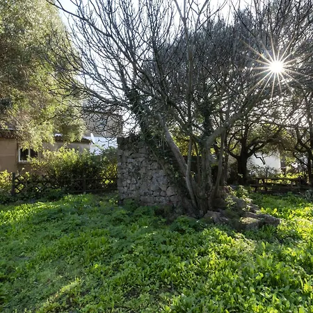 Apartment Santa By Interhome Porto-Vecchio (Corsica)